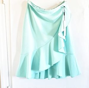 6p NWT mint  Calvin Klein skirt